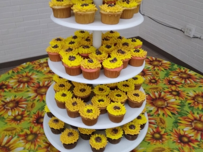 Display 04